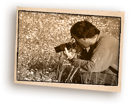 חדר הפלאות - אבא