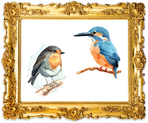 Birds