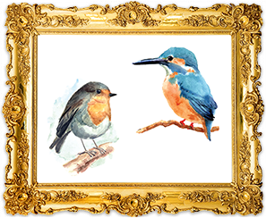 ציפורים חדר הפלאות